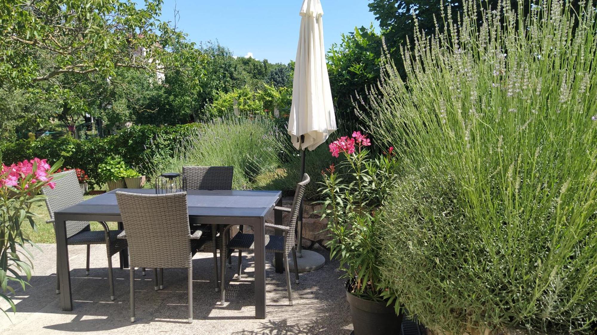 Gianna Apartment Labin Εξωτερικό φωτογραφία