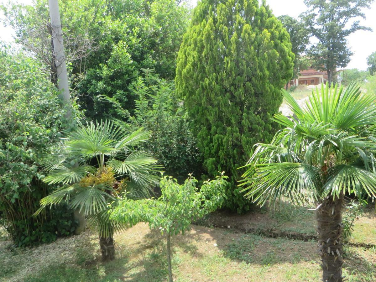 Gianna Apartment Labin Εξωτερικό φωτογραφία